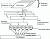 Figure 10 - Chimera architecture organization model