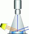 Figure 4 - Darkfield geometry – Incident light rays are reflected differently depending on whether or not the object's surface is flat.