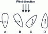 Figure 11 - Definition of a sailboat's "points of sail". Sailboat A is "downwind", sailboats A and B are "downwind". Sailboat C is upwind. Sailboat D is too close to the wind to sail; it is said to be "upwind".