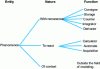 Figure 19 - Natures and functions of phenomena