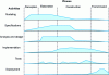 Figure 2 - Lifecycle phases and activities in the UML environment