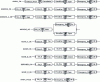 Figure 21 - Details of the composite proposals in the CtrlRobot function graph