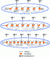 Figure 11 - LAN / Ethernet network configuration