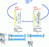 Figure 17 - Video network station overview