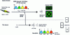 Figure 11 - Multifrequency generation of THz signals modulated by photomixing. P2P: Point to point link. Carrier frequency