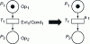 Figure 16 - Interpreted and stochastic Petri net