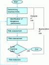 Figure 6 - Iterative risk assessment process (according to EN 1050)