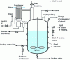 Figure 2 - Seveso process. Reactor diagram (after Marshall )