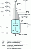 Figure 8 - Orthonitroanisole reactor, Griesheim