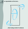 Figure 1 - Schematic representation of an organization in action