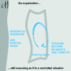 Figure 2 - Tensions and incidents in the organization