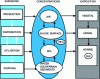 Figure 2 - Different compartments to be taken into account in risk assessment