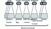 Figure 2 - Easy biodegradation test using OECD 301D method (closed vials)