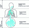 Figure 3 - Definition of respiratory fractions