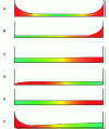 Figure 1 - Allures of conditional probabilities of failure