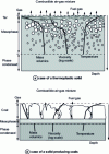 Figure 1 - The physical and chemical process of solid decomposition