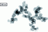 Figure 3 - Example of a transmission electron microscope view of a soot particle