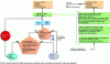 Figure 13 - Flowchart of the design and implementation of safety functions