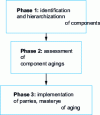 Figure 1 - Main phases of an ageing study