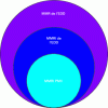 Figure 2 - MMRI: a type of MMR