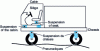 Figure 4 - Possible suspension levels on a vehicle