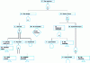 Figure 5 - Domestic gas explosion tree