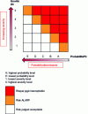 Figure 1 - Example of a 5 × 5 criticality matrix