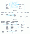 Figure 17 - Risk analysis of an irradiation facility for works of art (see figure 16): short, long scenarios and logic tree