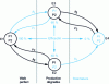 Figure 9 - Production availability graph