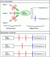 Figure 19 - Parallel between the LOPA representation and the bow tie (from [1])