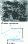 Figure 11 - Detonation structure of the chlorine + 1,4-dioxane mixture