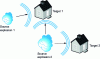 Figure 14 - Potential explosion sources and targets