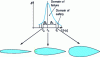 Figure 19 - Sections for all three models