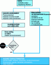 Figure 1 - Preparation of chemical safety report for registration dossier