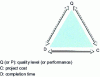 Figure 1 - Triptych representing a project's issues