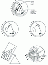 Figure 5 - Material circulation in the pelletizing tank