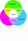 Figure 1 - Three pillars of sustainable development