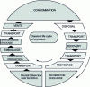 Figure 4 - Product life cycle