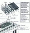 Figure 12 - Example of a green roof. Graviland-Pack roof. Hydropack system (source: Siplast-Icopal)
