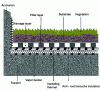 Figure 6 - Drainage, filtration and substrate (Source Wikhydro)