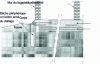 Figure 15 - Invert slab