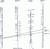 Figure 11 - Flamingo Abacus