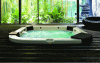 Figure 10 - Whirlpool bath (source: Jacuzzi®)