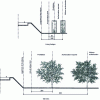 Figure 5 - Planting distances for properties bordering railroads