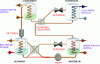 Figure 14 - Operating principle of the water/ammonia absorption machine (© Helioclim)