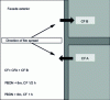 Figure 12 - Vertical propagation resistance