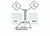 Figure 7 - Opposite insulation without sleeping quarters