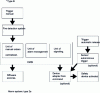 Figure 2 - Type B SSI