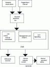 Figure 1 - Type A SSI