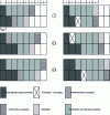 Figure 4 - Details of production phases